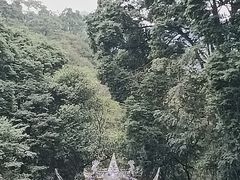 -青城山