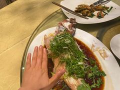 -广东名门