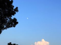-火炉山森林公园