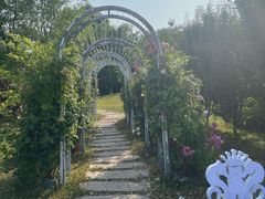 -秦皇岛秦皇国际大酒店