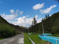 -苏木山森林公园