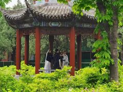-洛阳白马寺
