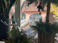 -蝶舍·MAISON PAPILLON