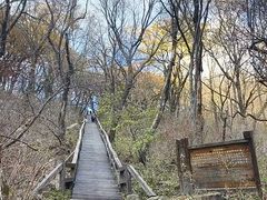 -三块石国家森林公园