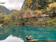 -如意林卡藏餐吧 (九寨沟店)