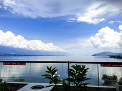 -野菌皇海景野生菌火锅(滨海大道店)