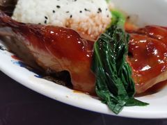 -上海海昌海洋公园