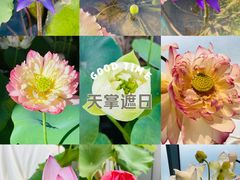 -上海植物园-4号门售票处