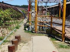 -呀路古热带植物园