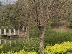 -龙寺生态园