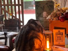 -咖法森林·咖啡  酒吧(天河店)