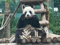 -大连森林动物园