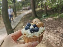 -上海佘山国家森林公园天马山园