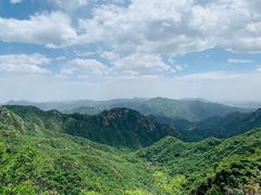 -大岭沟猕猴桃谷风景区