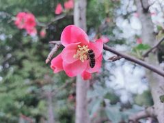 -成飞公园