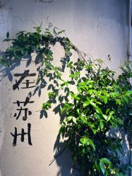 -洛水阁·汉服妆造体验馆(山塘街店)