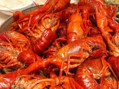 -怪怪龙虾·澳洲蓝龙王·深夜食堂(惊驾路店)
