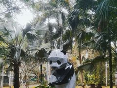 -海南热带野生动植物园
