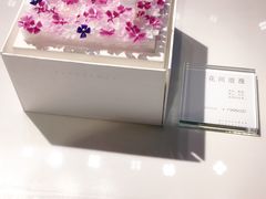 -BLACKSWAN黑天鹅(环球店)