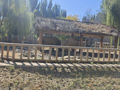 -石家庄市动物园