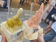 -野人先生现做冰淇淋(西安赛格店)