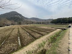 -八卦田遗址公园