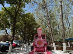 -合肥滨湖国家森林公园