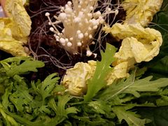 -御同亨酒楼·喜宴