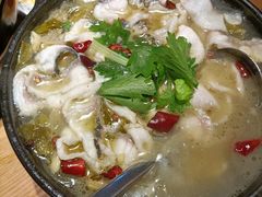 砂锅酸菜乌鱼片-陶德砂锅(蜀汉路店)