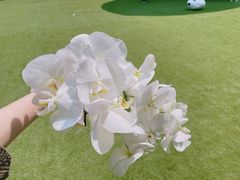 -花邻FloweringLife花艺气球派对(武康大楼店)