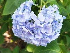 -常州古运河南大街文化旅游区-人民公园