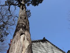 -终南山南五台景区