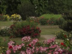 -国家植物园