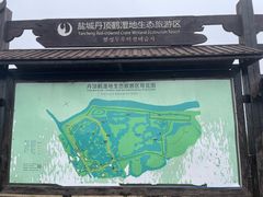 -盐城丹顶鹤湿地生态旅游区