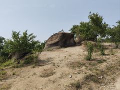 -白水寺森林公园