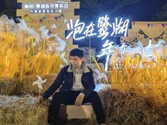 -美的鹭湖森林度假区