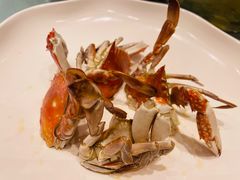 -舌尖上·霞浦滩涂海鲜·新闽菜(总店)