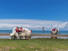 -青海湖国家重点风景名胜区