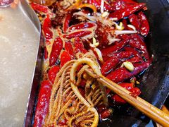 -阳阳老火锅(小南门店)