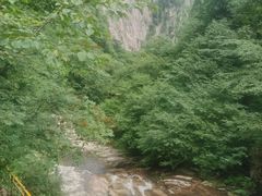 -青峰峡国家森林公园