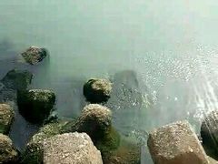 -长岛渔家乐仙居阁