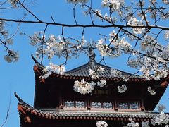 -堤角公园