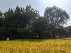 -北坞公园