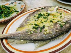 姜汁蒸黄花鱼-蒸坊黄鳝饭(骏丰大厦店)