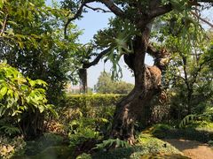 -Chom Cafe and Restaurant