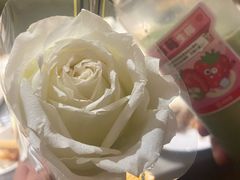 -海底捞火锅(新松江路店)