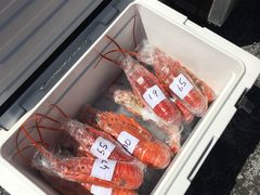 -Kaikoura Seafood BBQ Kiosk