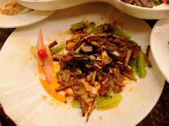 -西安饭庄(立丰国际店)