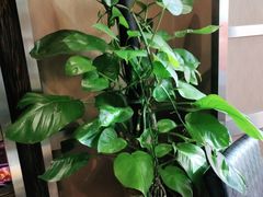 -拾贝海鲜馆（海鲜粤菜）(花果园店)
