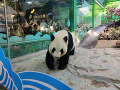-灵玲国际马戏城